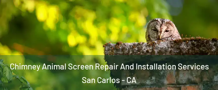  Chimney Animal Screen Repair And Installation Services San Carlos - CA