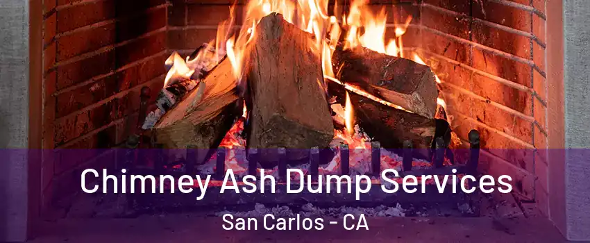  Chimney Ash Dump Services San Carlos - CA