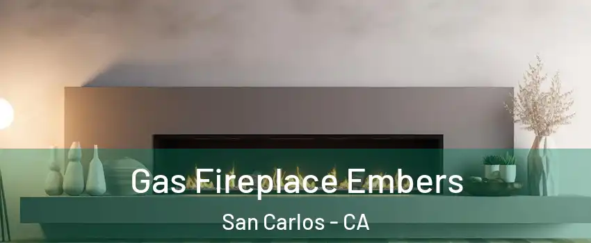  Gas Fireplace Embers San Carlos - CA