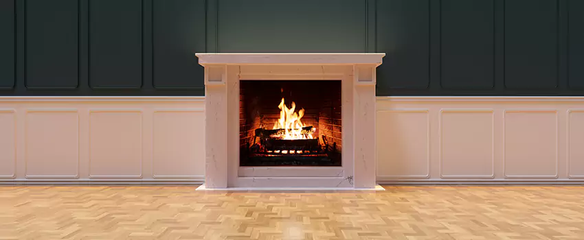 Napoleon Electric Fireplaces Inspection Service in San Carlos, California
