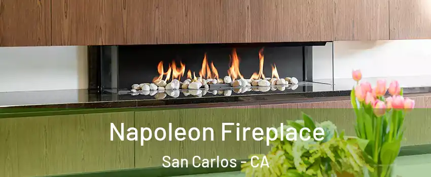  Napoleon Fireplace San Carlos - CA
