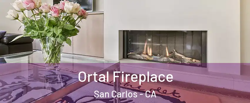 Ortal Fireplace San Carlos - CA
